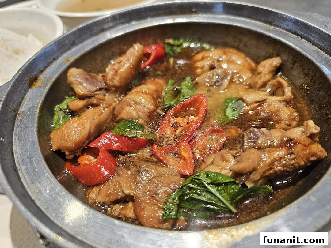 A close-up of a savory claypot chicken dish with red chilies and basil, served in a traditional pot.