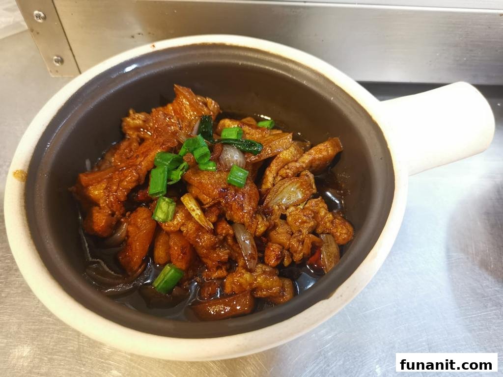 A close-up of a delicious claypot dish with tender meat and green onions.