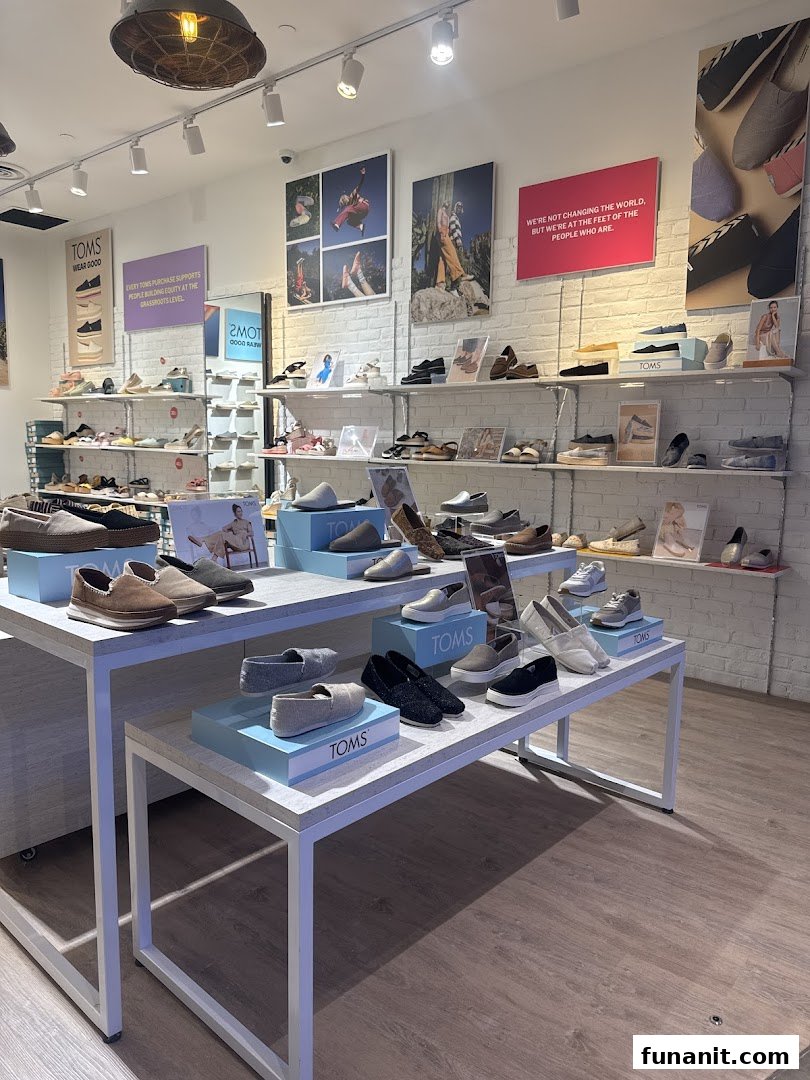 Interior view of Toms shoe store, showcasing various styles of footwear on display.