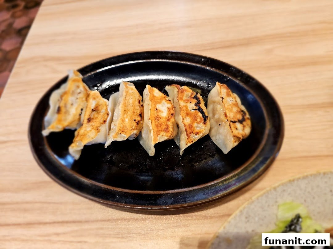 A plate of perfectly pan-fried gyoza with crispy bottoms, served on a dark oval dish.