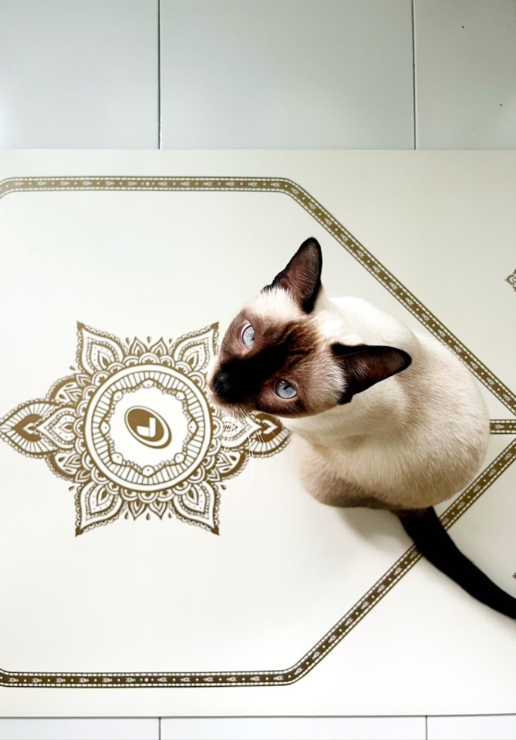 A beautiful Siamese cat with blue eyes sits on a decorative mat, looking up.