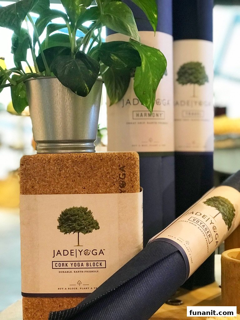 Close-up of Jade Yoga cork blocks and mats, showcasing eco-friendly yoga accessories and a potted plant.