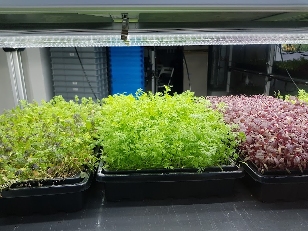 Urban Farm  Funan image 7