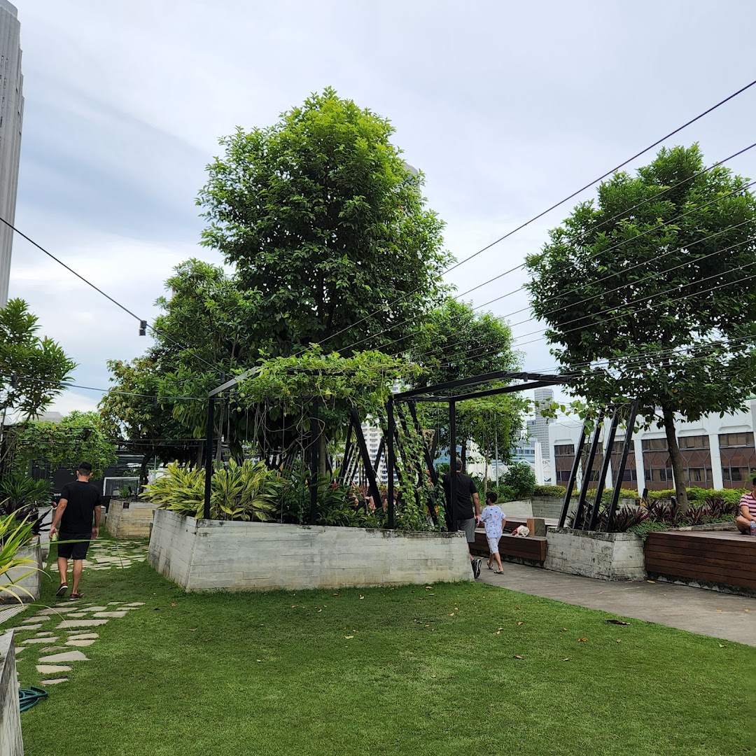 A lush rooftop garden with trees, grass, and walking paths, offering a green escape.