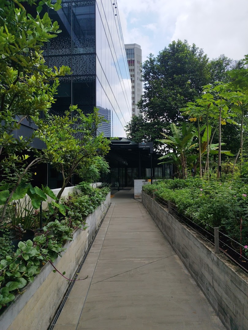 Urban Farm  Funan