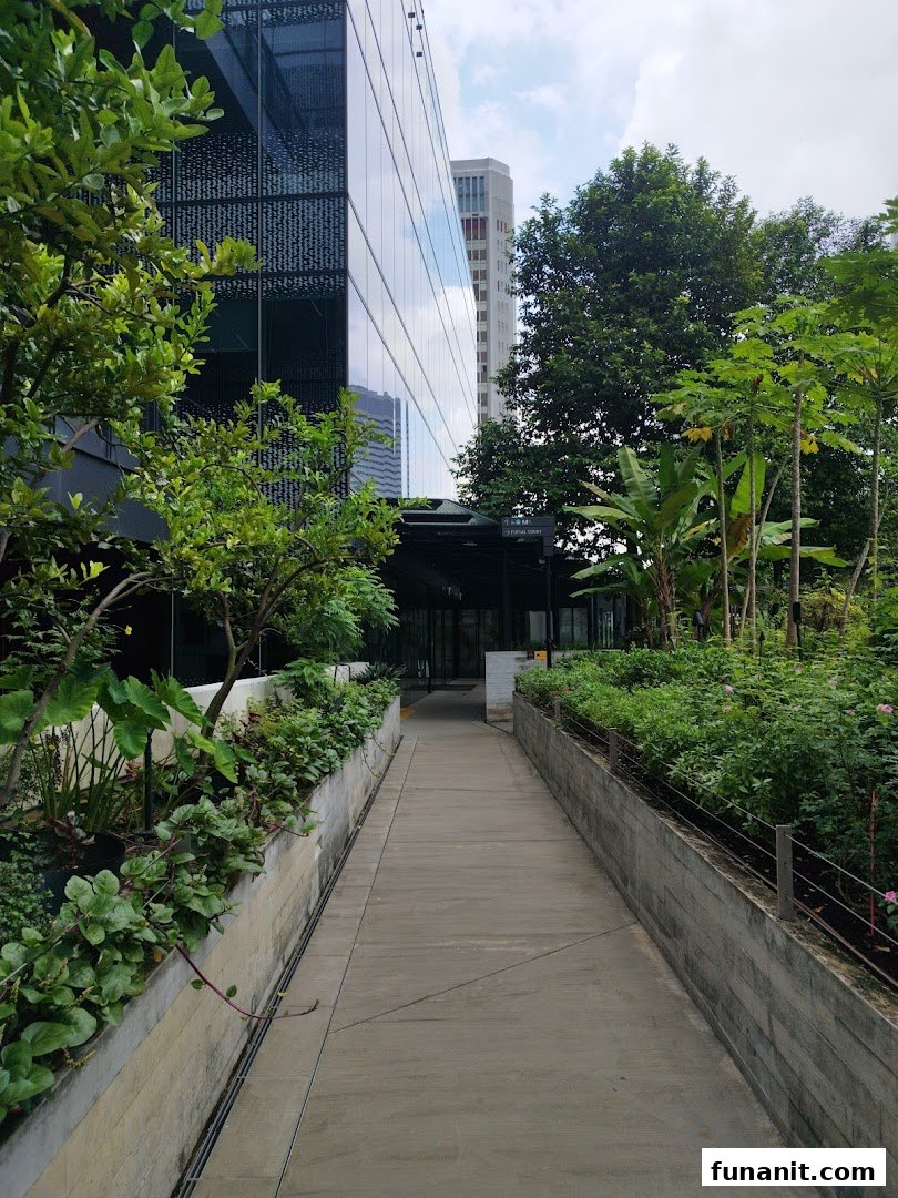 A lush green pathway leading to the Urban Farm entrance amidst modern architecture.