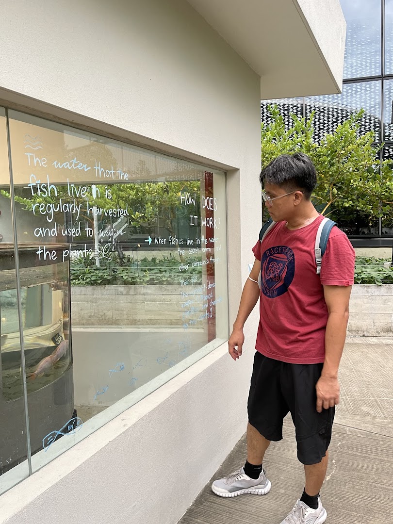 Urban Farm  Funan image 13