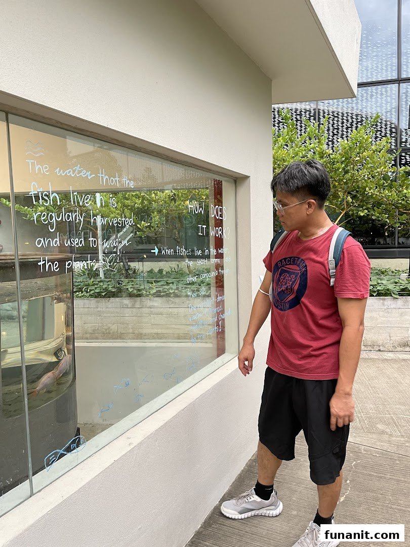 Urban Farm  Funan image 13