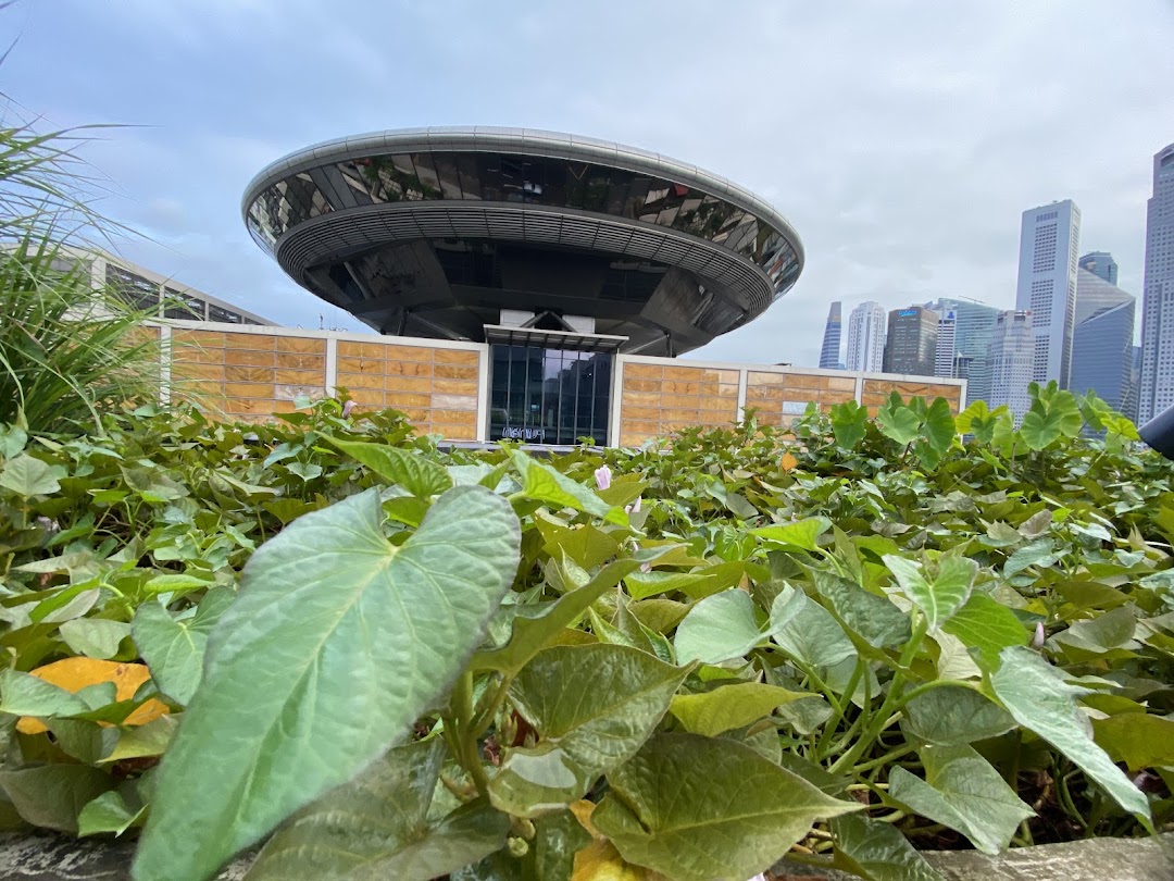 Lush green urban farm with a distinctive building and city skyline in the background.