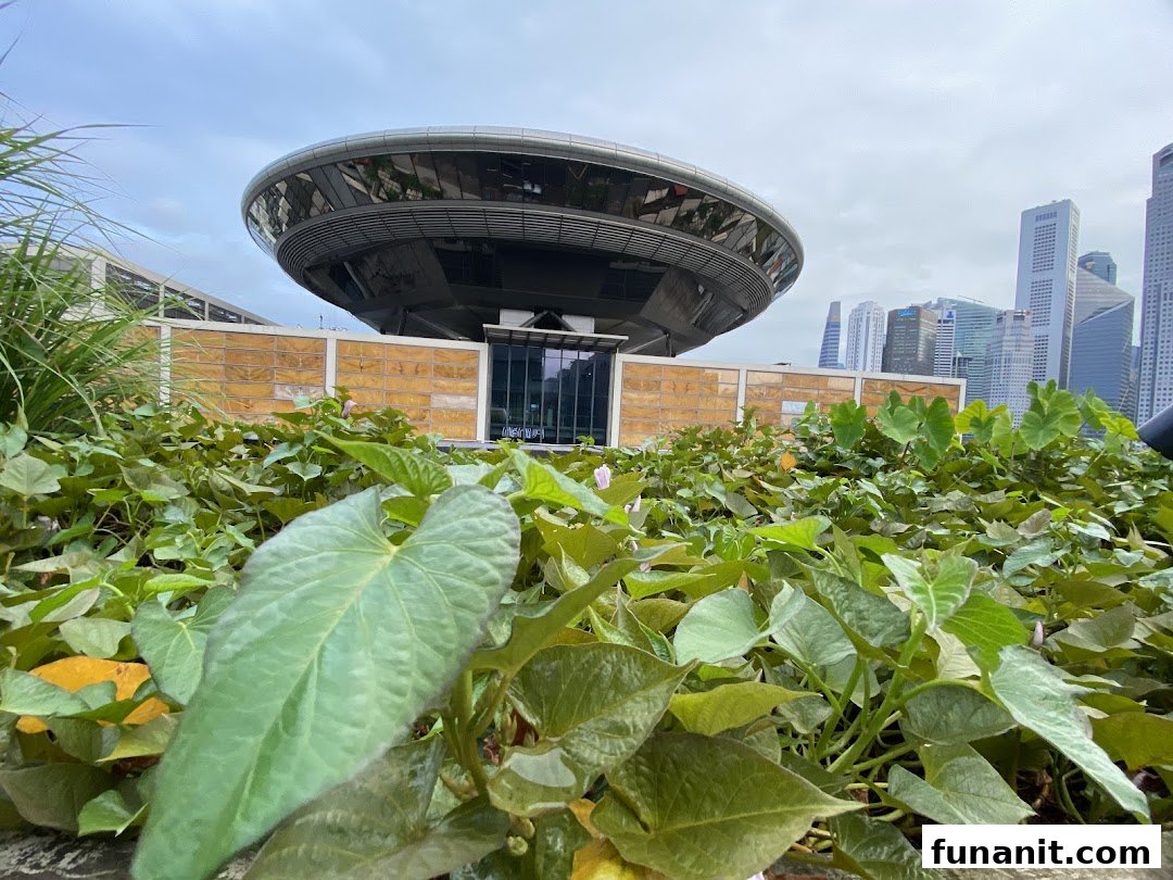 Lush green urban farm with a distinctive building and city skyline in the background.