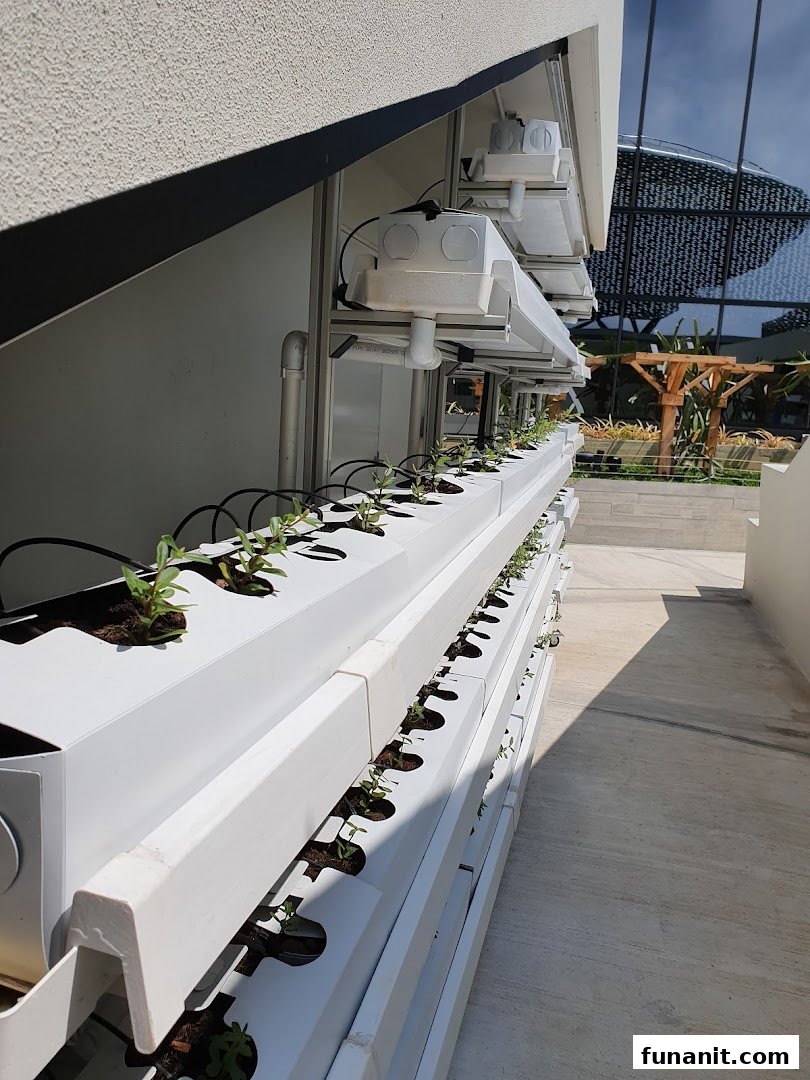 A close-up of a vertical hydroponic farm with young plants under grow lights.
