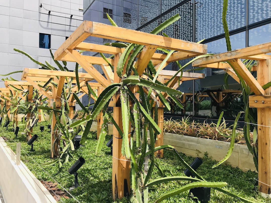 Urban Farm  Funan image 14