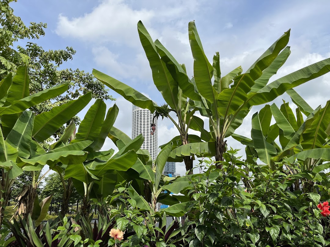 Urban Farm  Funan image 5
