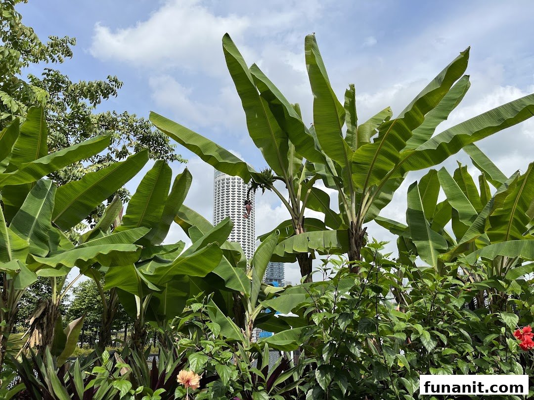 Urban Farm  Funan image 5