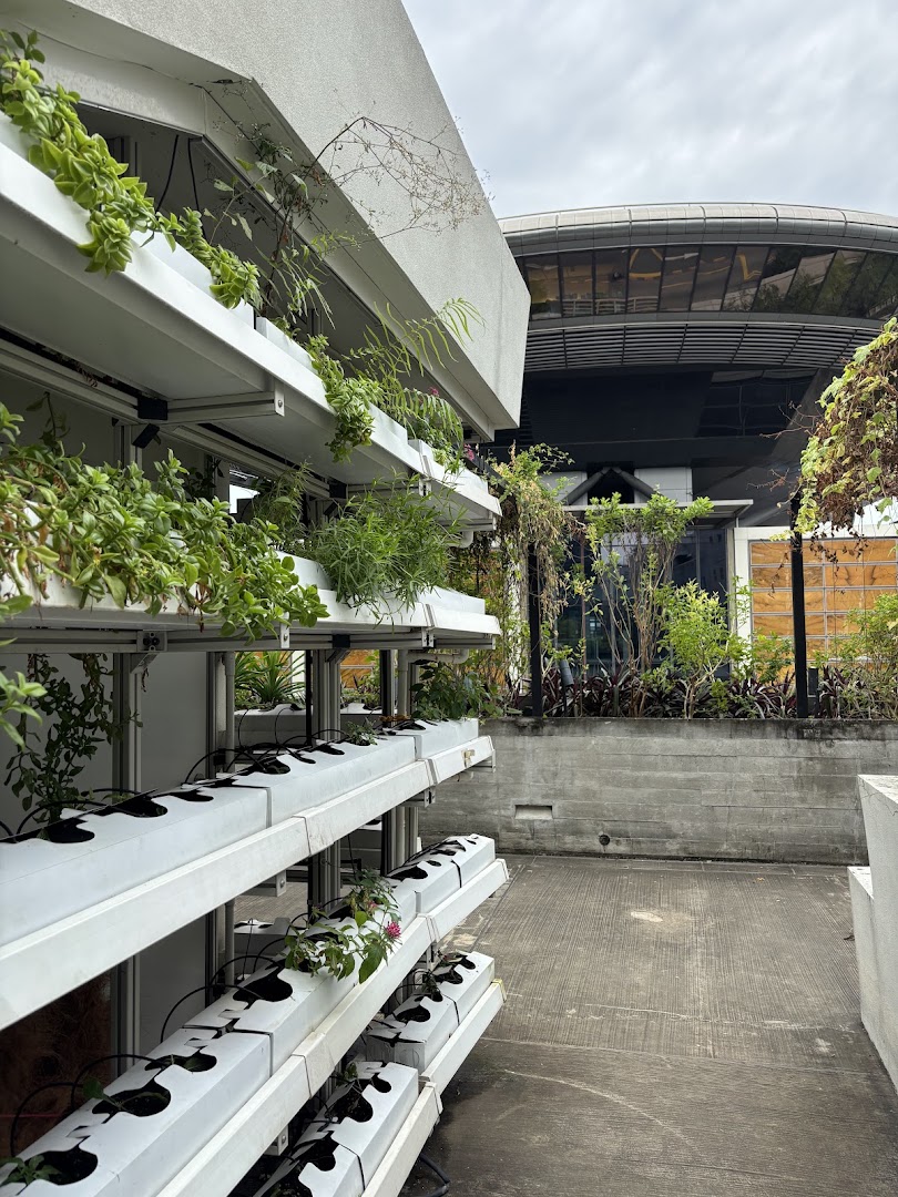 A vibrant vertical farm display showcasing lush green plants in a modern hydroponic system.