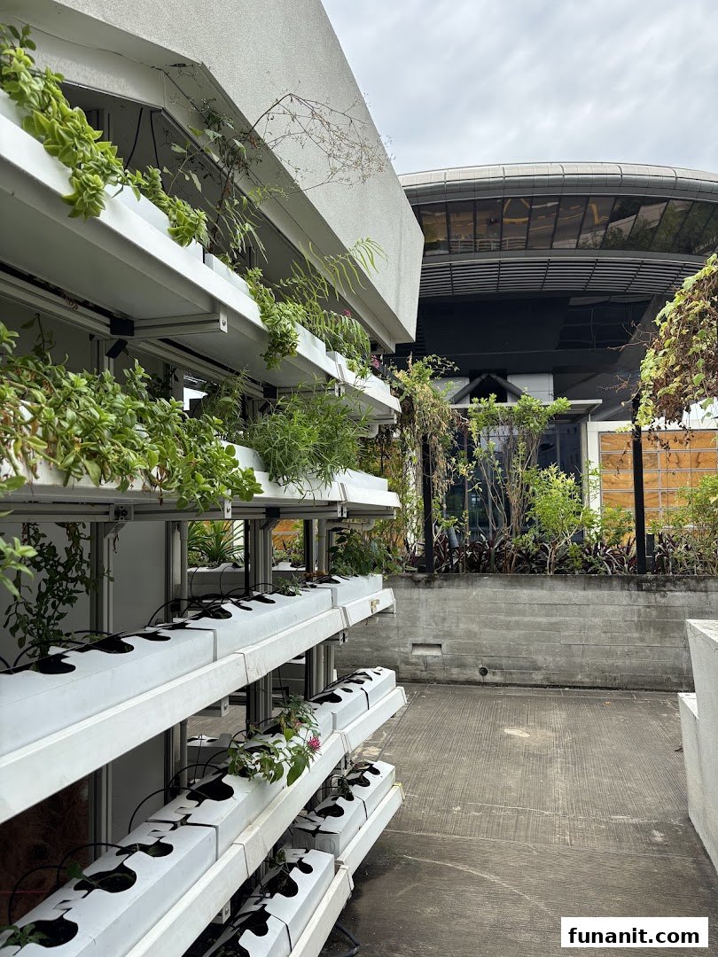 A vibrant vertical farm display showcasing lush green plants in a modern hydroponic system.
