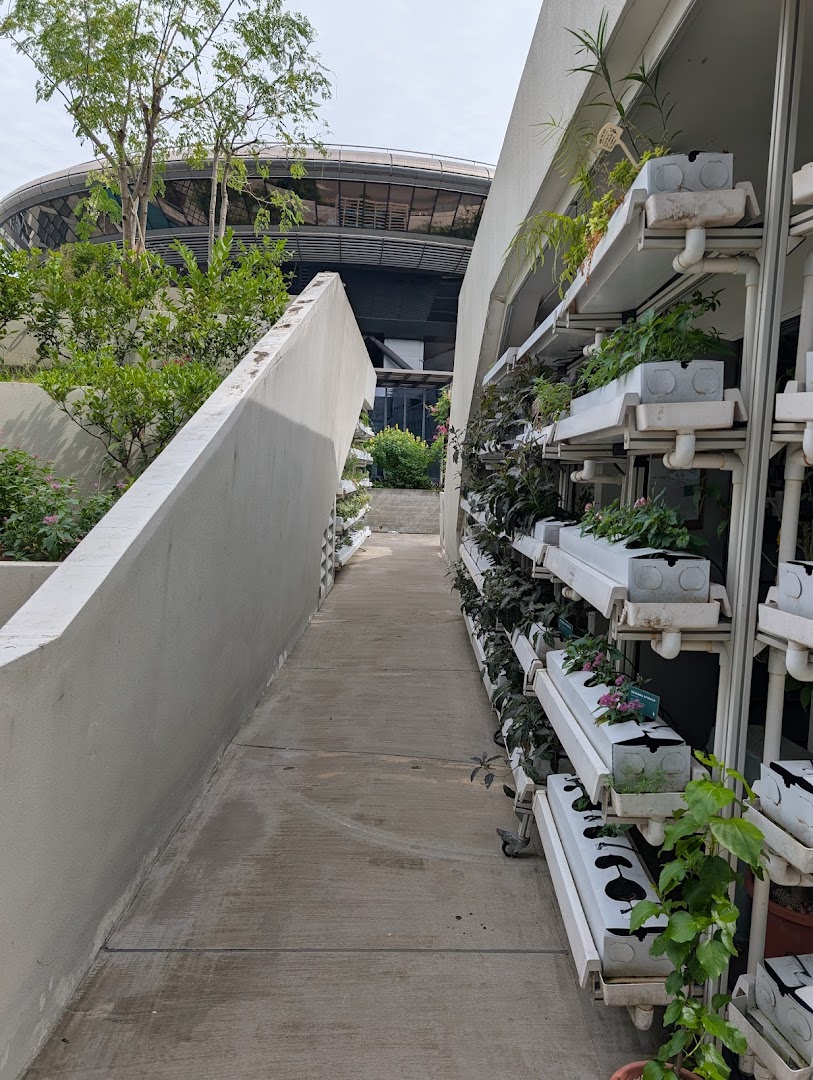 Urban Farm  Funan image 23
