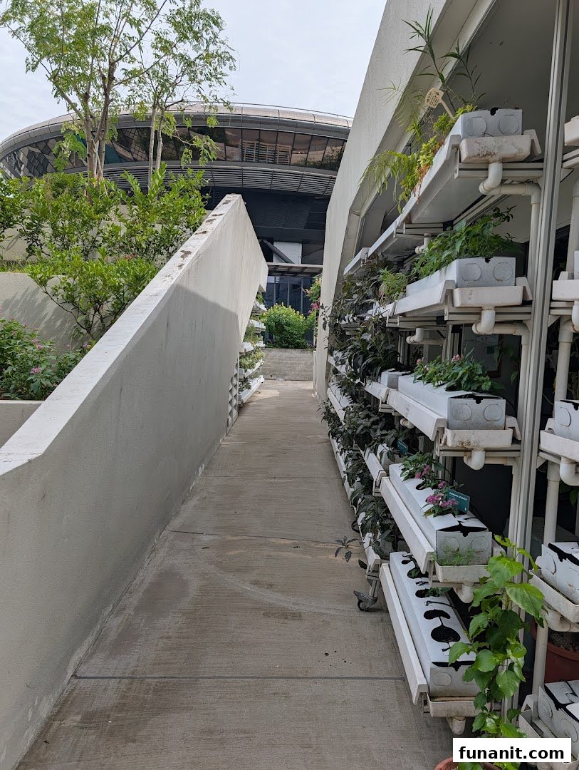 Urban Farm  Funan image 23