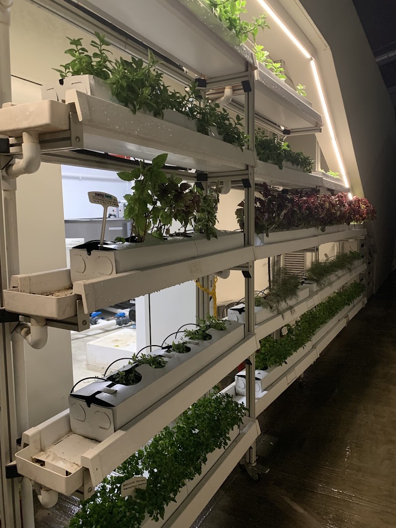 Vertical hydroponic racks display various fresh herbs and greens at Urban Farm Funan.