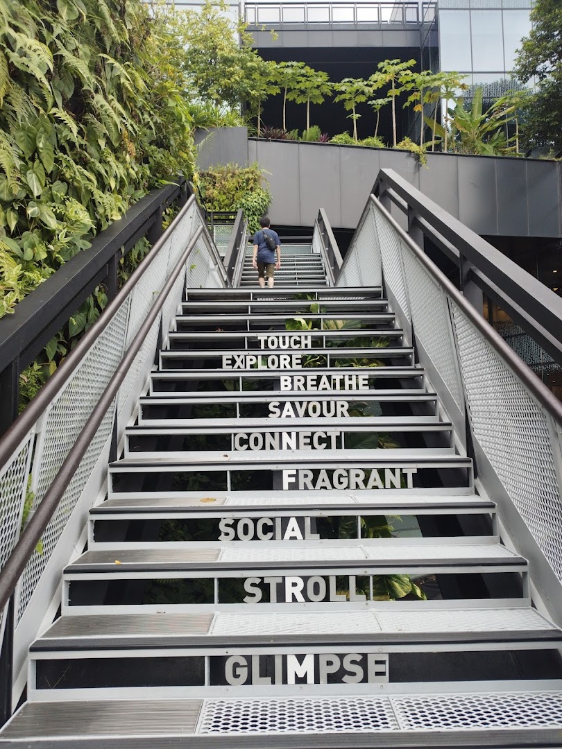 Urban Farm  Funan image 3