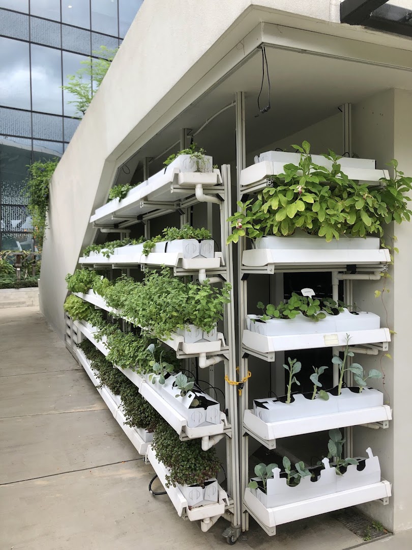 A vertical hydroponic farm display showcasing various green plants growing in white trays.