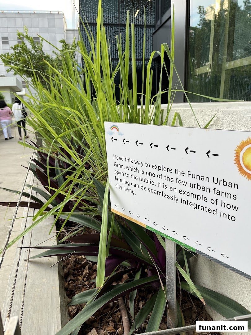 An informational sign guides visitors to the Funan Urban Farm amidst lush greenery.