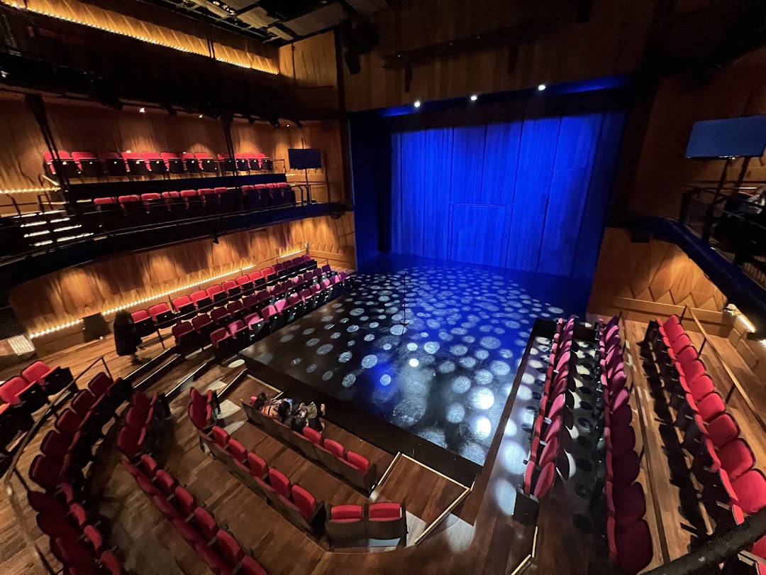 An aerial view of the Wild Rice Funan theatre, showcasing its stage, seating, and warm lighting.