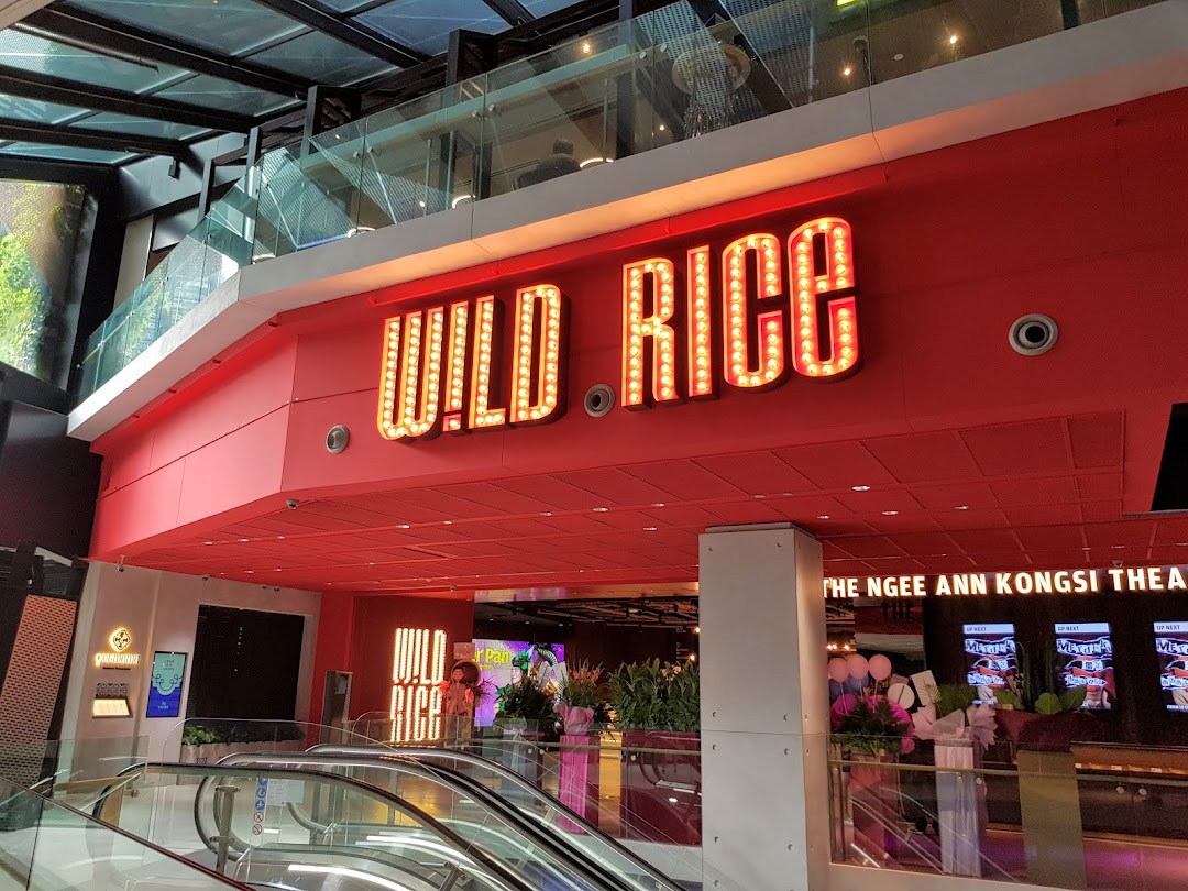 The vibrant red facade and illuminated sign of Wild Rice theatre at Funan mall.