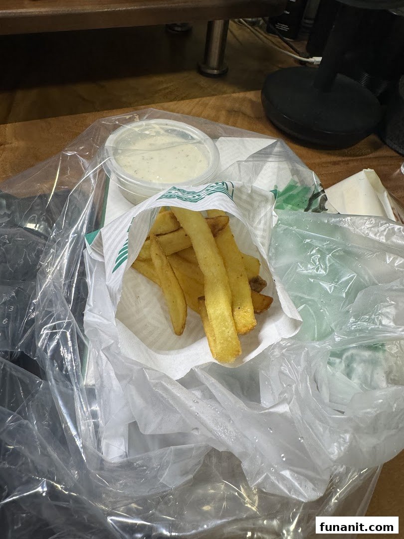 Crispy golden fries and creamy dipping sauce from Wingstop, ready to enjoy.