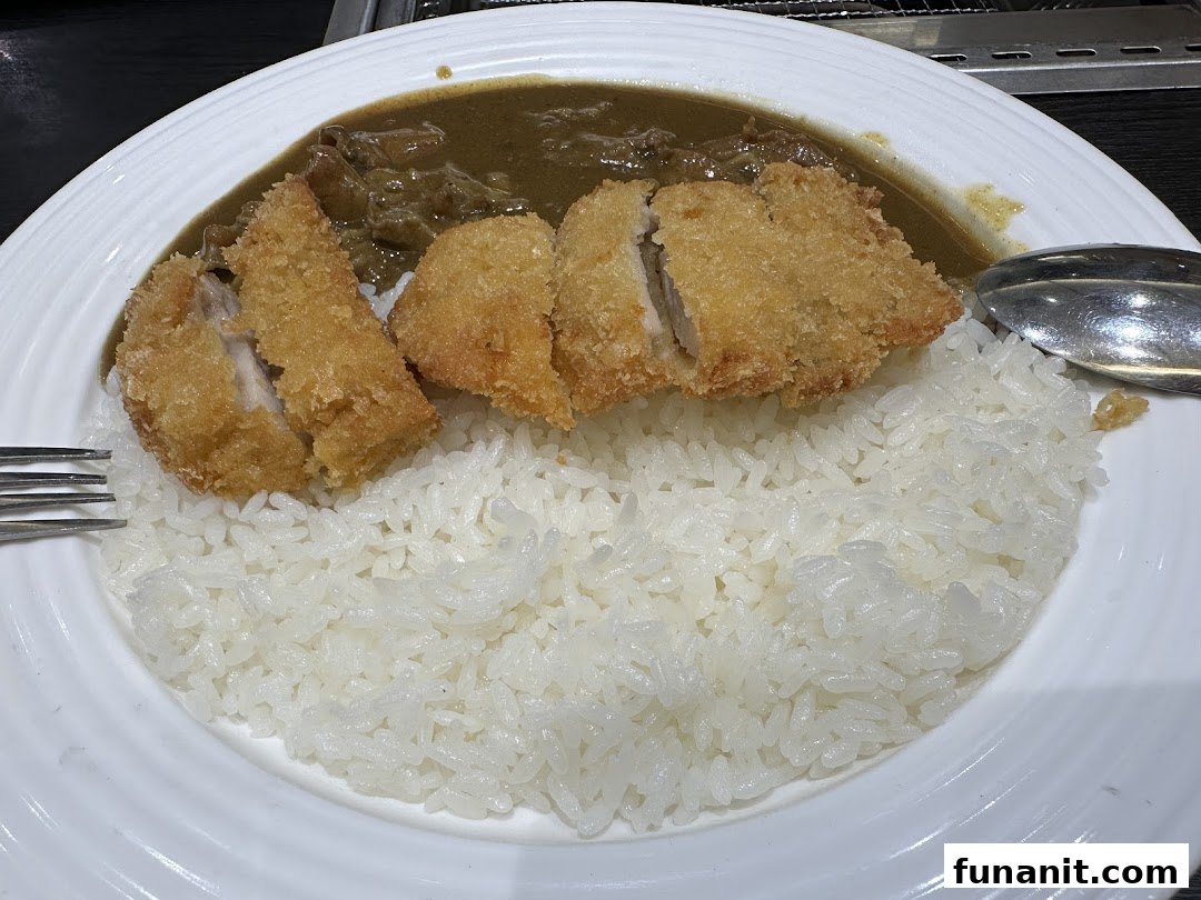 A close-up of a delicious katsu curry dish with crispy fried cutlet, rich curry, and fluffy rice.