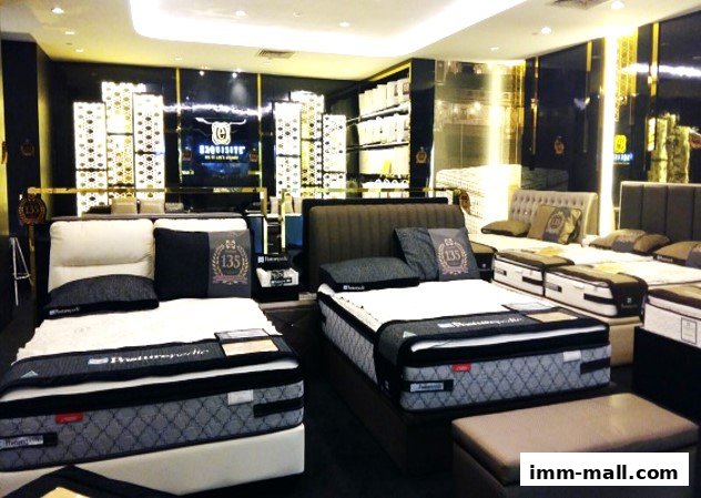Interior of a Sealy Sleep Boutique showcasing multiple beds and mattresses.