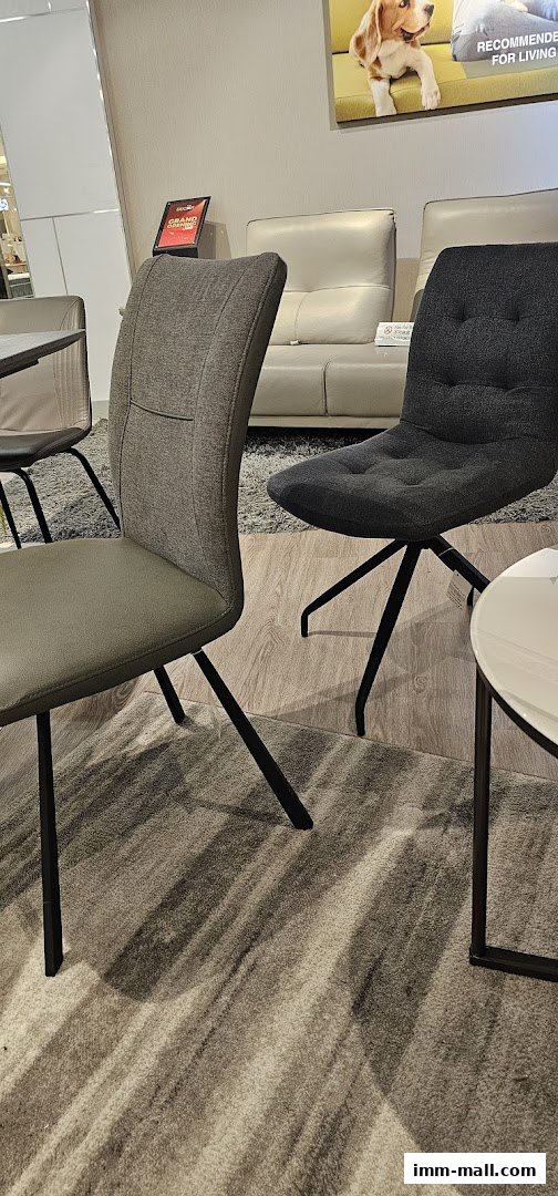 Interior shot of a furniture store showcasing modern chairs and sofas with a dog advertisement.