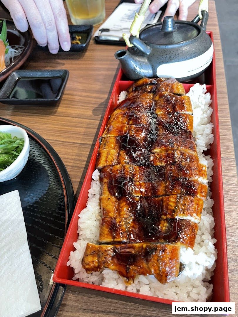 A close-up of a delicious Unagi Donburi served with rice and a side of seaweed salad.
