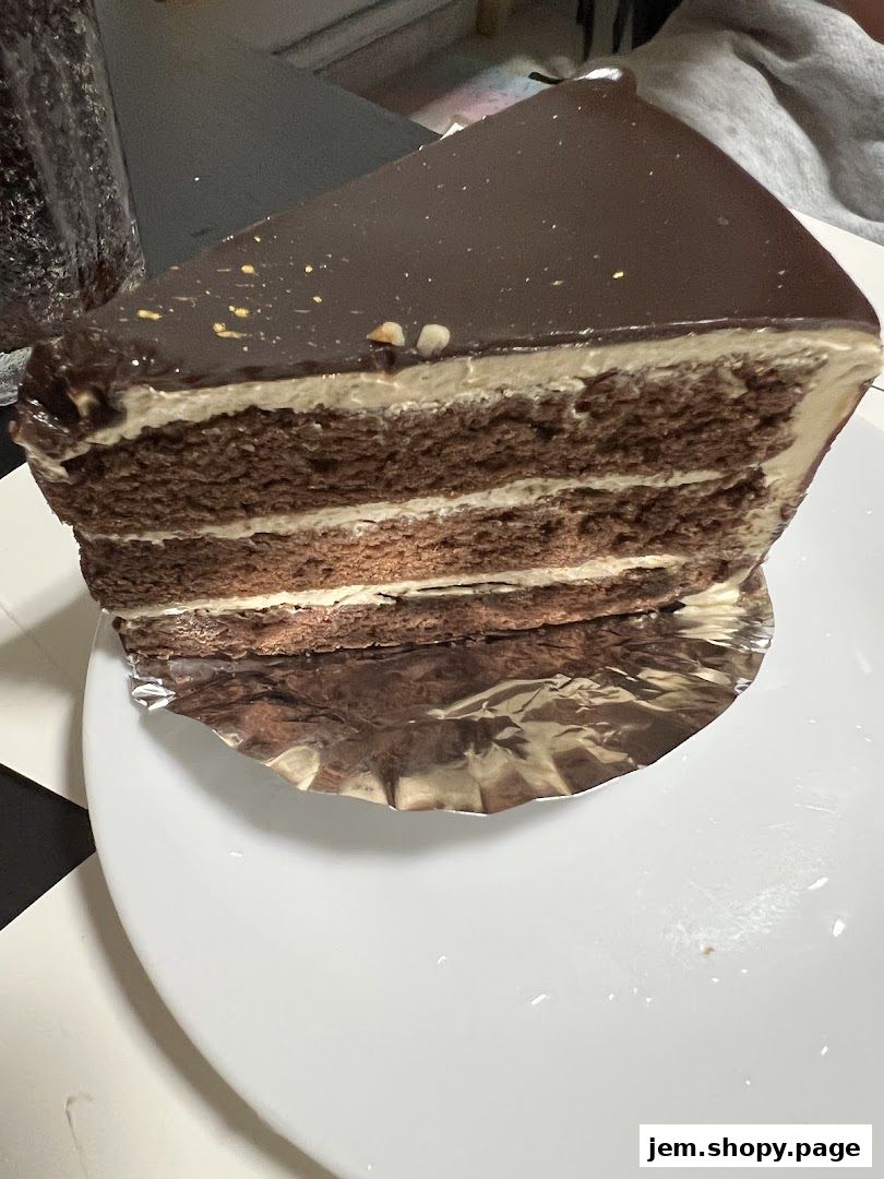 A slice of rich chocolate cake with layers of cream and chocolate frosting.