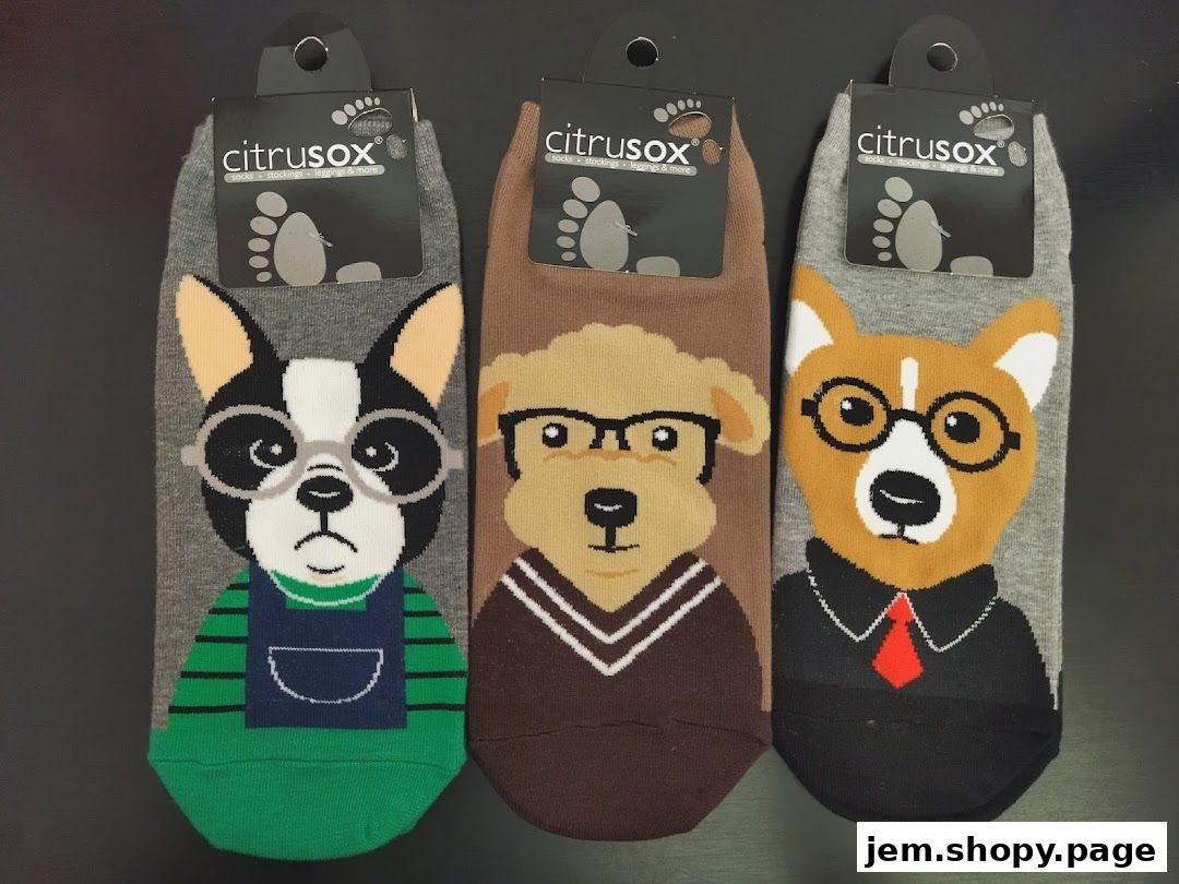 Three pairs of novelty socks featuring cartoon dogs wearing glasses and clothing.