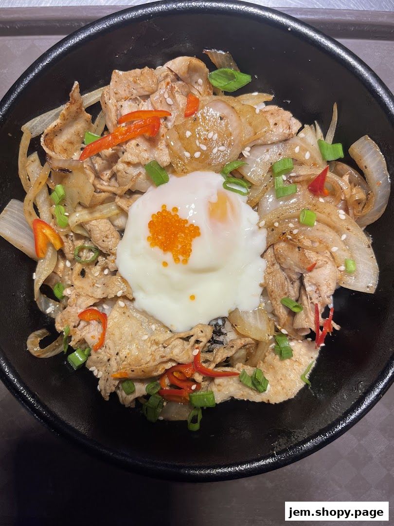 A close-up of a delicious rice bowl topped with meat, egg, and vegetables.