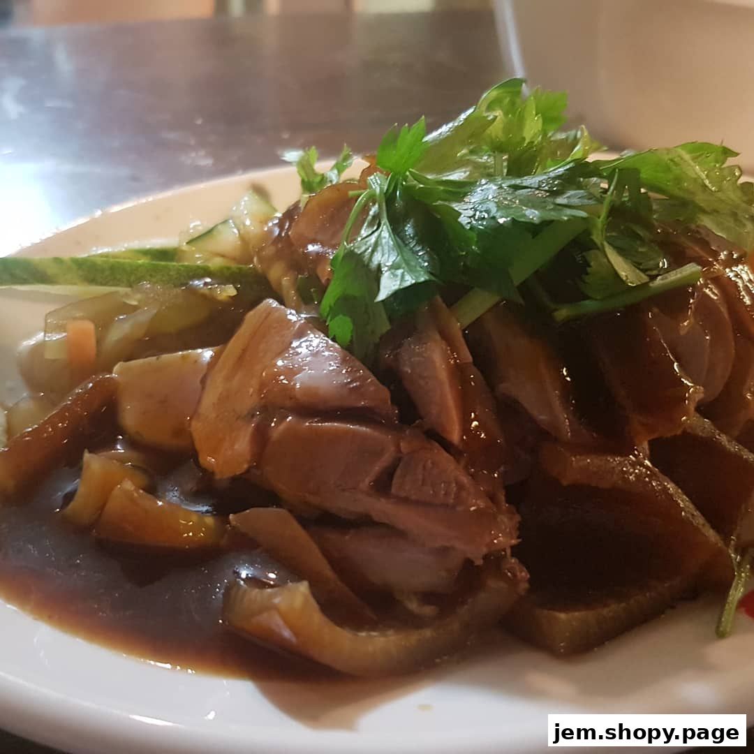 A plate of Teochew Kway Chap with braised duck and vegetables, garnished with cilantro.