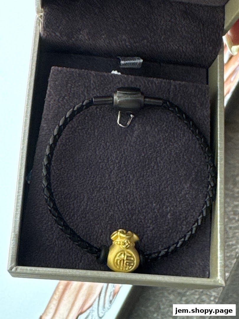 A braided black bracelet with a gold money bag charm in a jewelry box.