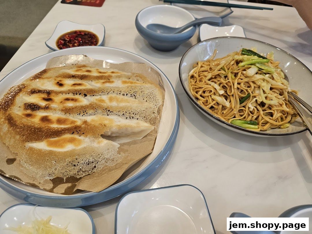A close-up of pan-fried dumplings and noodles served at a restaurant.