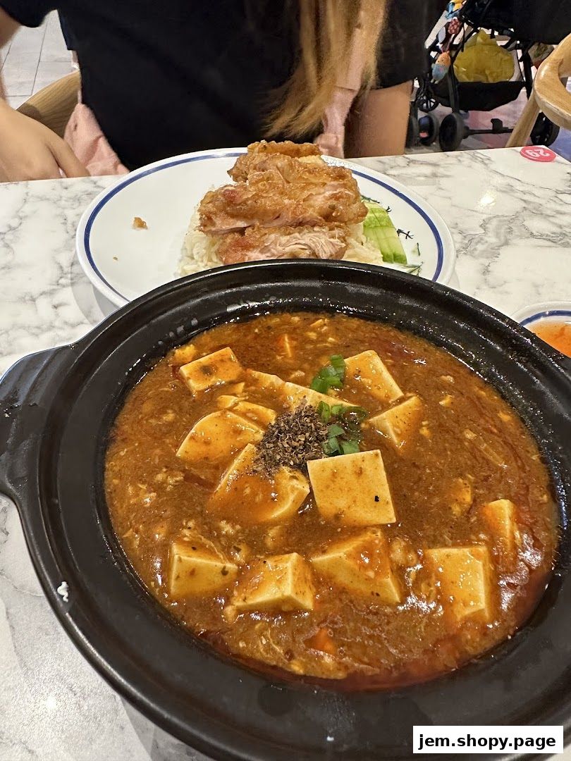 A close-up of two delicious dishes: crispy fried chicken with rice and a savory tofu stew.
