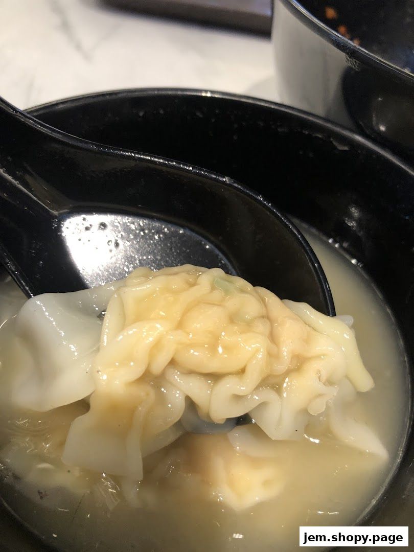 A close-up shot of a delicious wanton noodle dish being served.