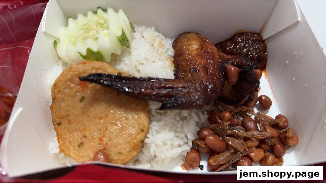 A takeaway box filled with rice, fried chicken wing, fish cake, cucumber slices, and peanuts.