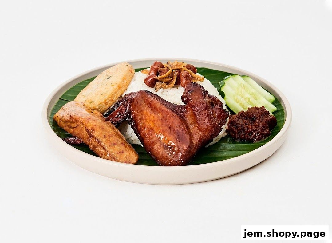 A delicious plate of Nasi Lemak with chicken wing, fish cake, and sambal.