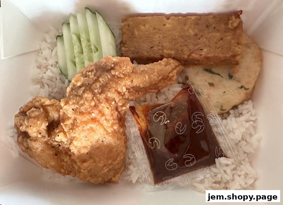 A takeaway box filled with rice, fried chicken wing, cucumber slices, and other food items.
