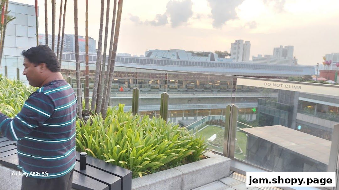 A man stands on a balcony overlooking a cityscape with lush greenery.