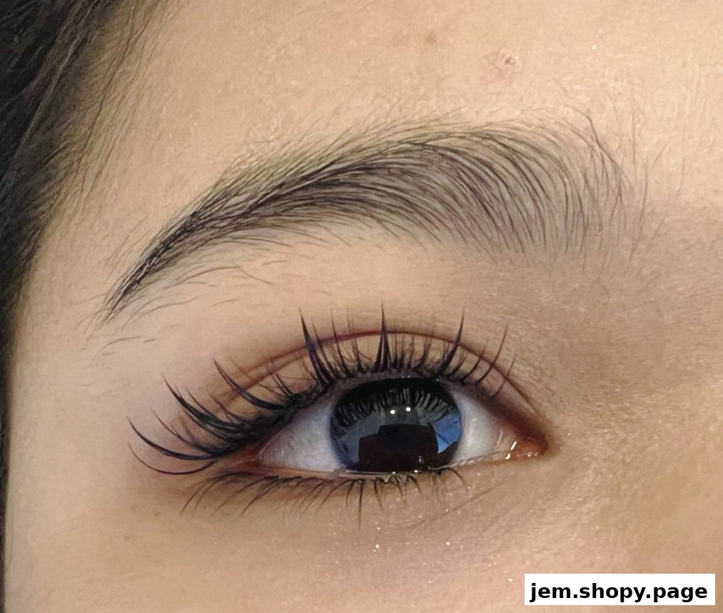 Close-up of a woman's eye with beautifully applied eyelash extensions and groomed eyebrows.