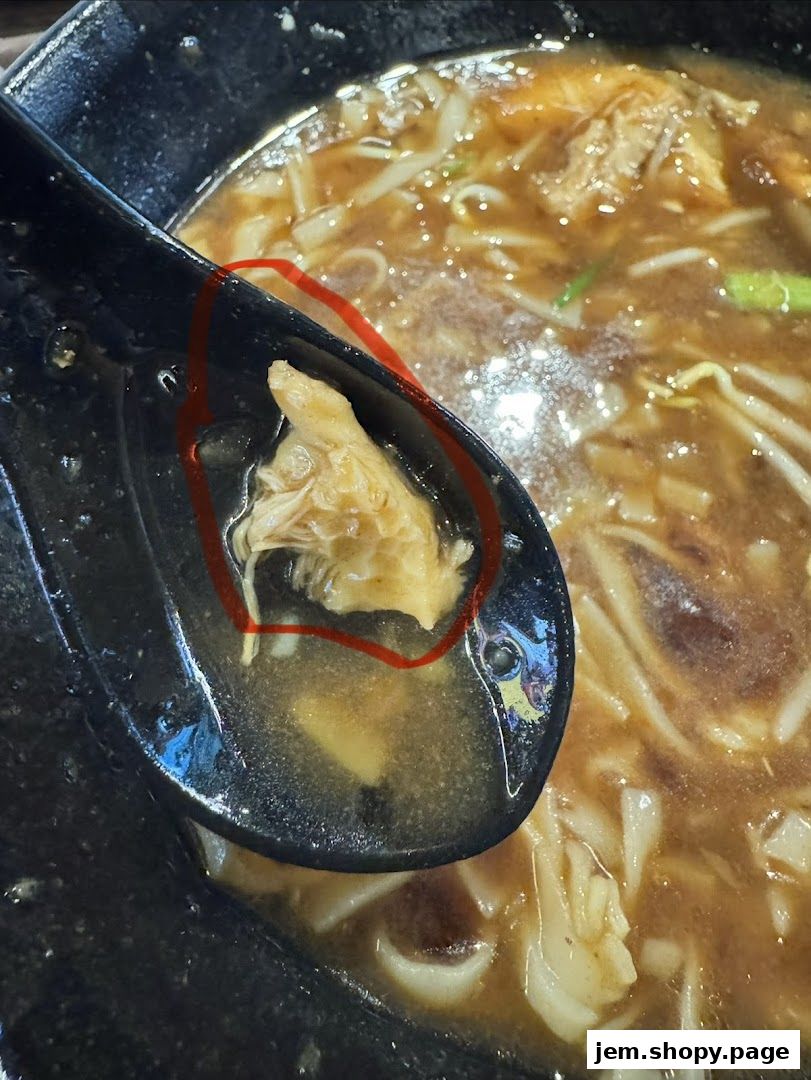 A close-up of a spoon filled with shredded meat from a bowl of beef noodles.