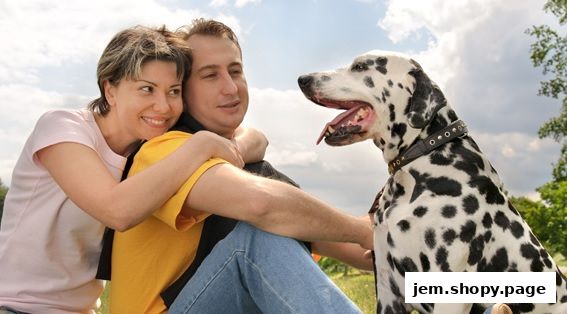 A couple happily embraces while sitting outdoors with their Dalmatian dog.