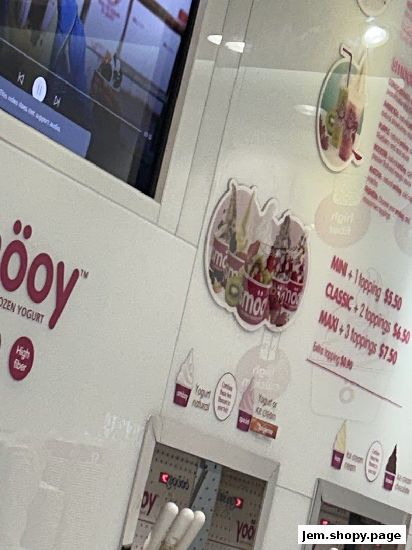 Smöoy frozen yogurt shop menu with pricing for different sizes and toppings.