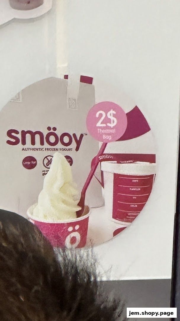 A cup of frozen yogurt with a spoon and a promotional image.